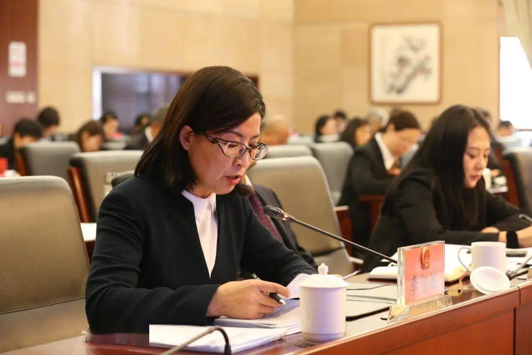 蔡力凯,李智敏委员分别作审议发言.