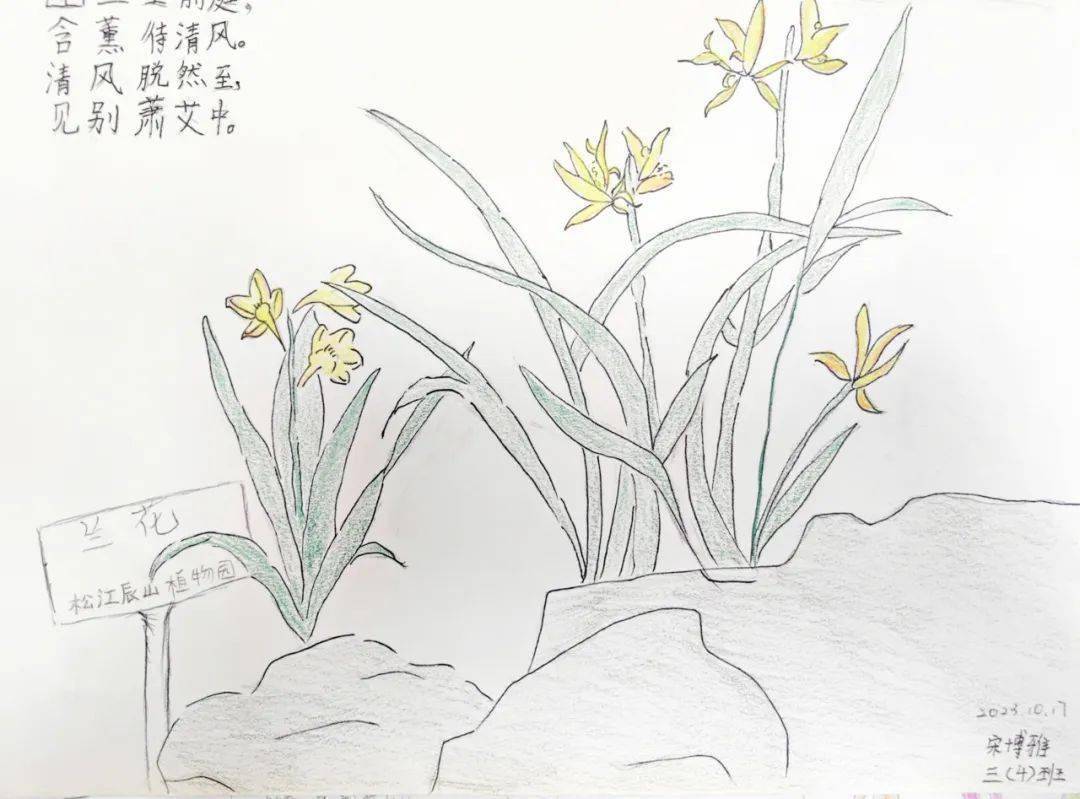 走出课堂 玩出成果_同学_植物园_攻略