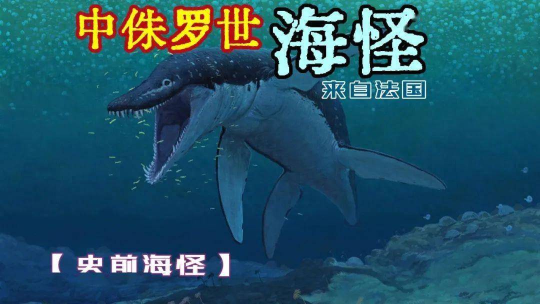 【史前海怪】这头侏罗纪海怪来自法国!_洛林龙_龙的_化石