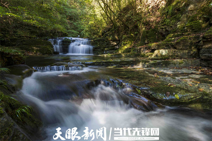 【天眼镜像】道真大沙河:初冬时节景致美_自然保护区_森林_王其伦