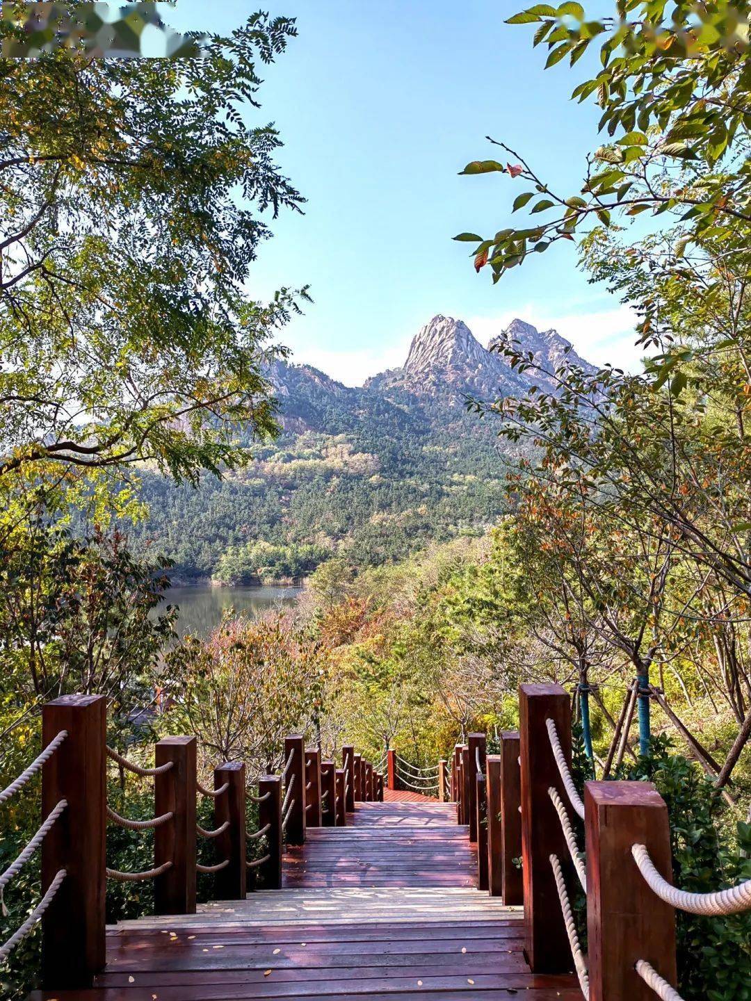 李君(干保中心):浮山美景韩卫红(委机关):别有洞天李娜(委综合监督