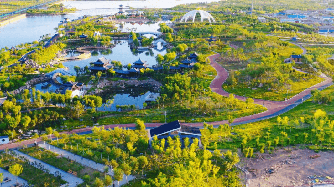 阿拉善防沙治沙"七大战役",奋战正酣!_治理_重点_面积