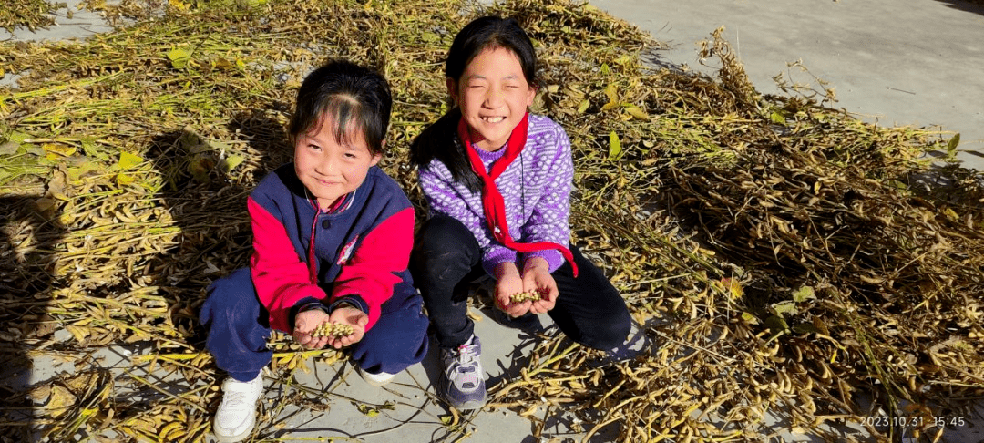 以"劳"树德 以"劳"育人—麟游县招贤镇中心小学师生开展劳动实践教育