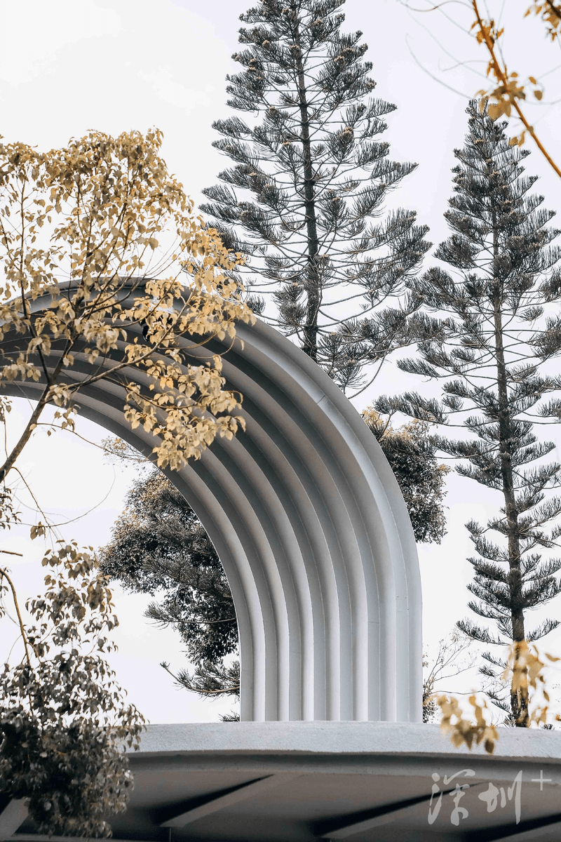 深圳小伙骑行,误入"绿野仙踪"……_平台_丽湖_驿站