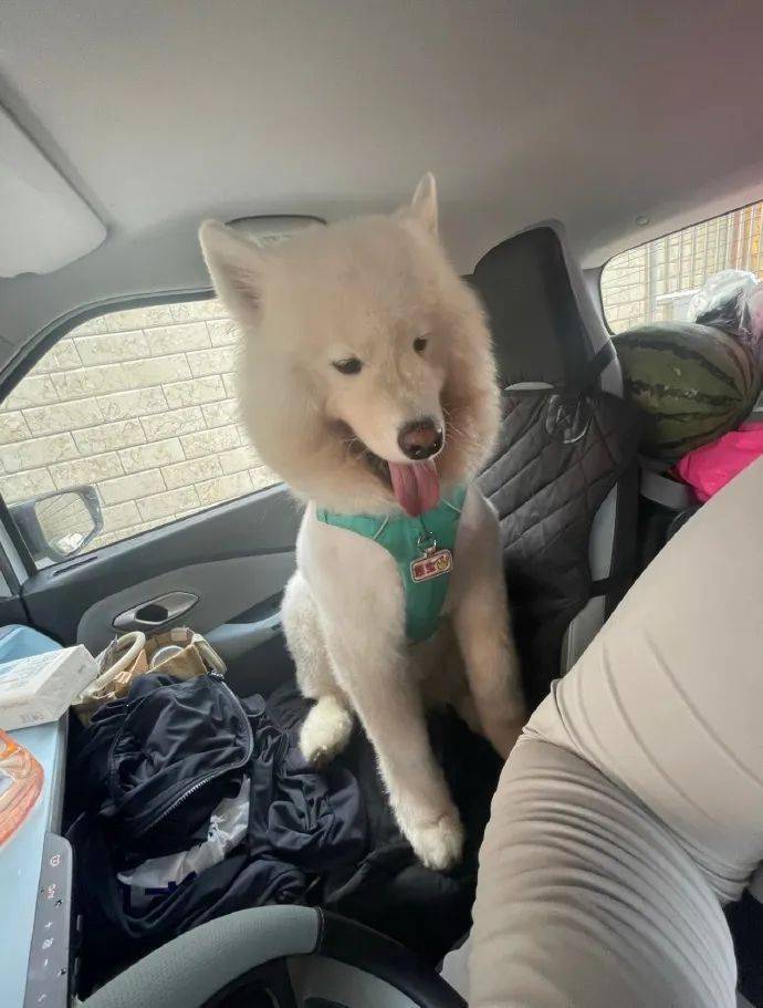 出发前 vs 出发后