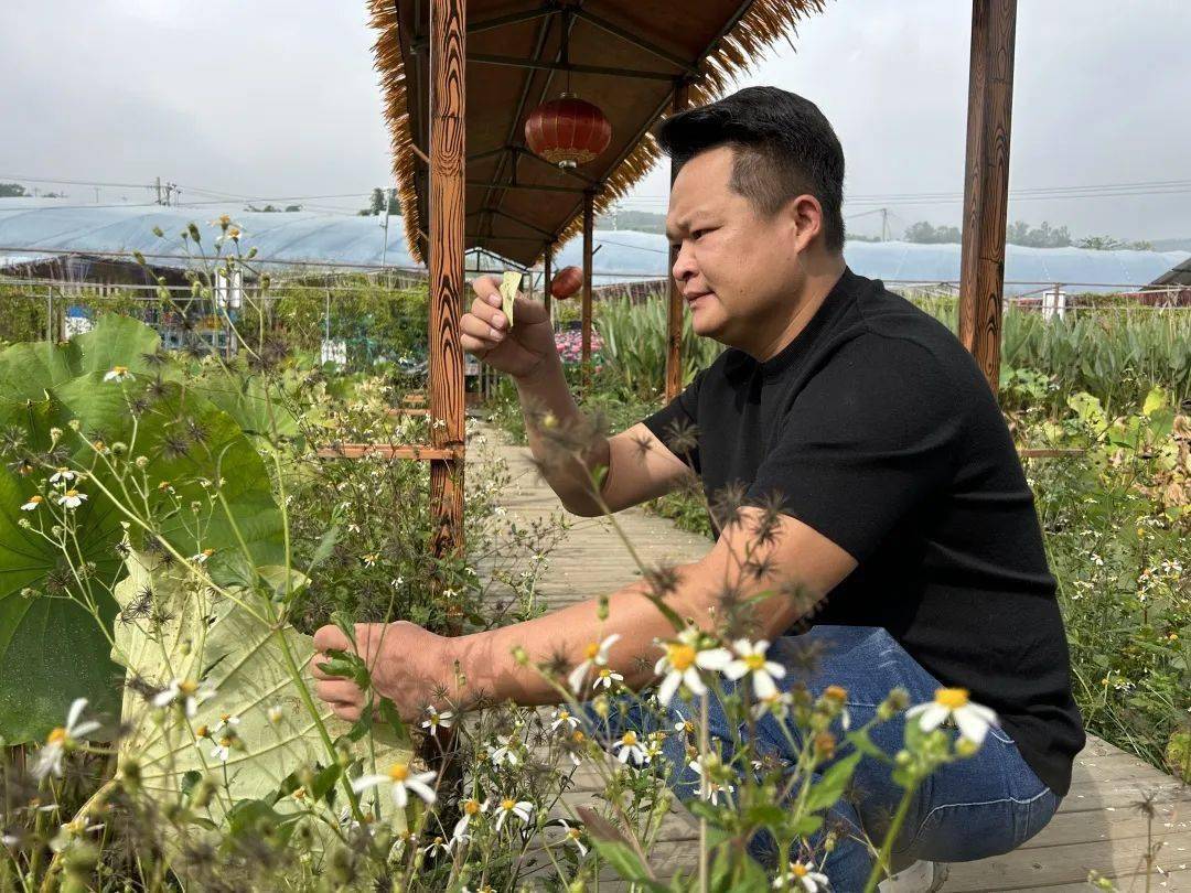 共富实践 | 返乡创业明星杨杰:让村民与集体连心,连利,连责