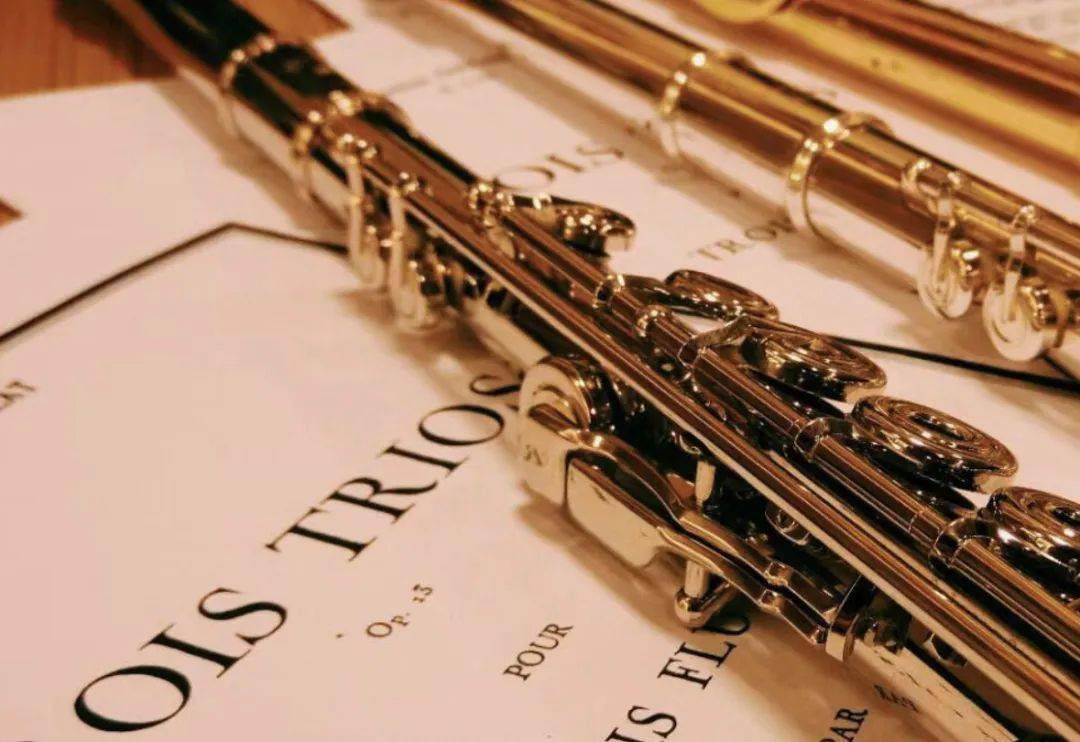 周五) 19:00—20:30中国音乐学院长笛教授陈兆荣博士独奏音乐会活动二