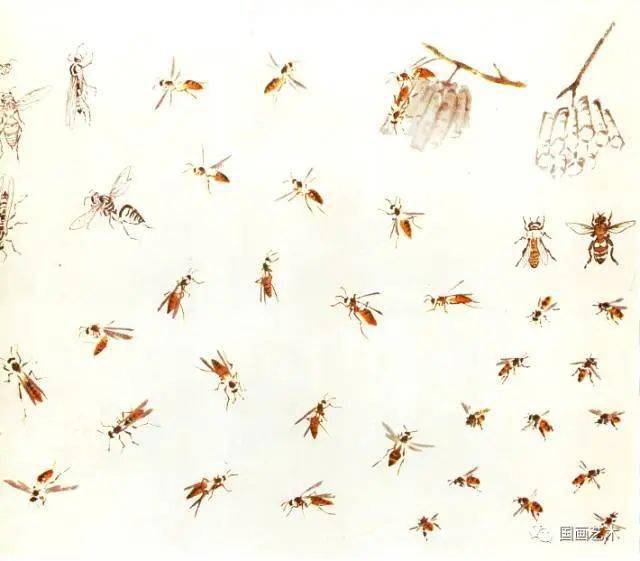 王雪涛 小写意昆虫画法图例_触角_绘画_动态