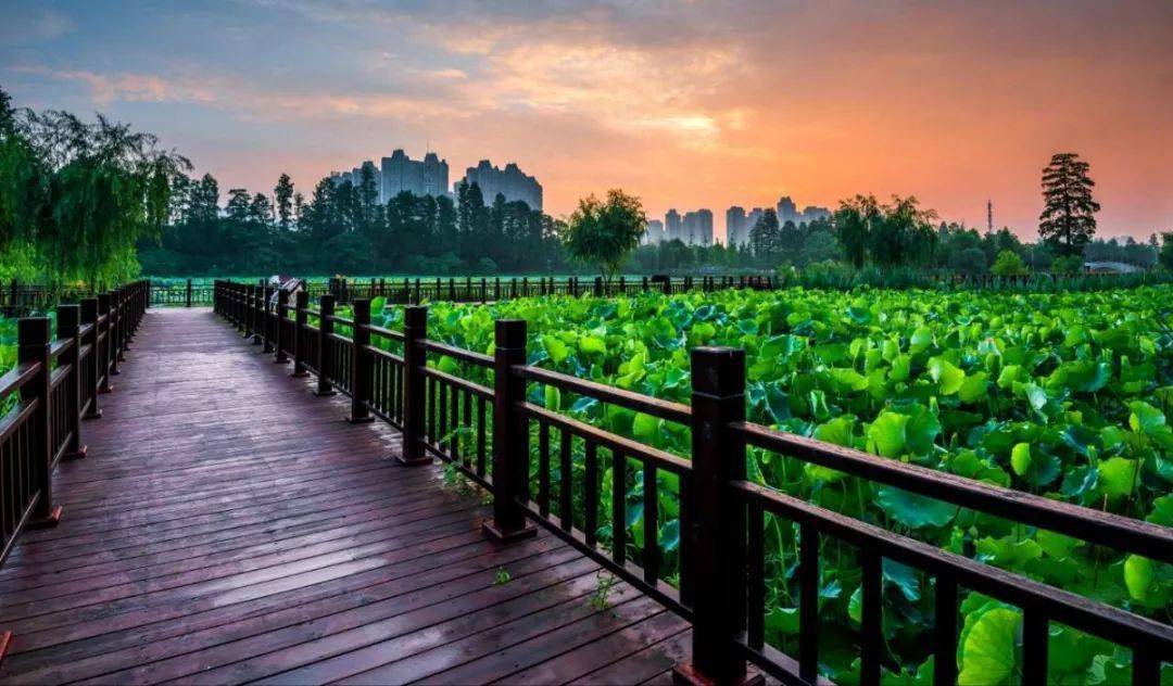 荆州玉桥公园门票图片