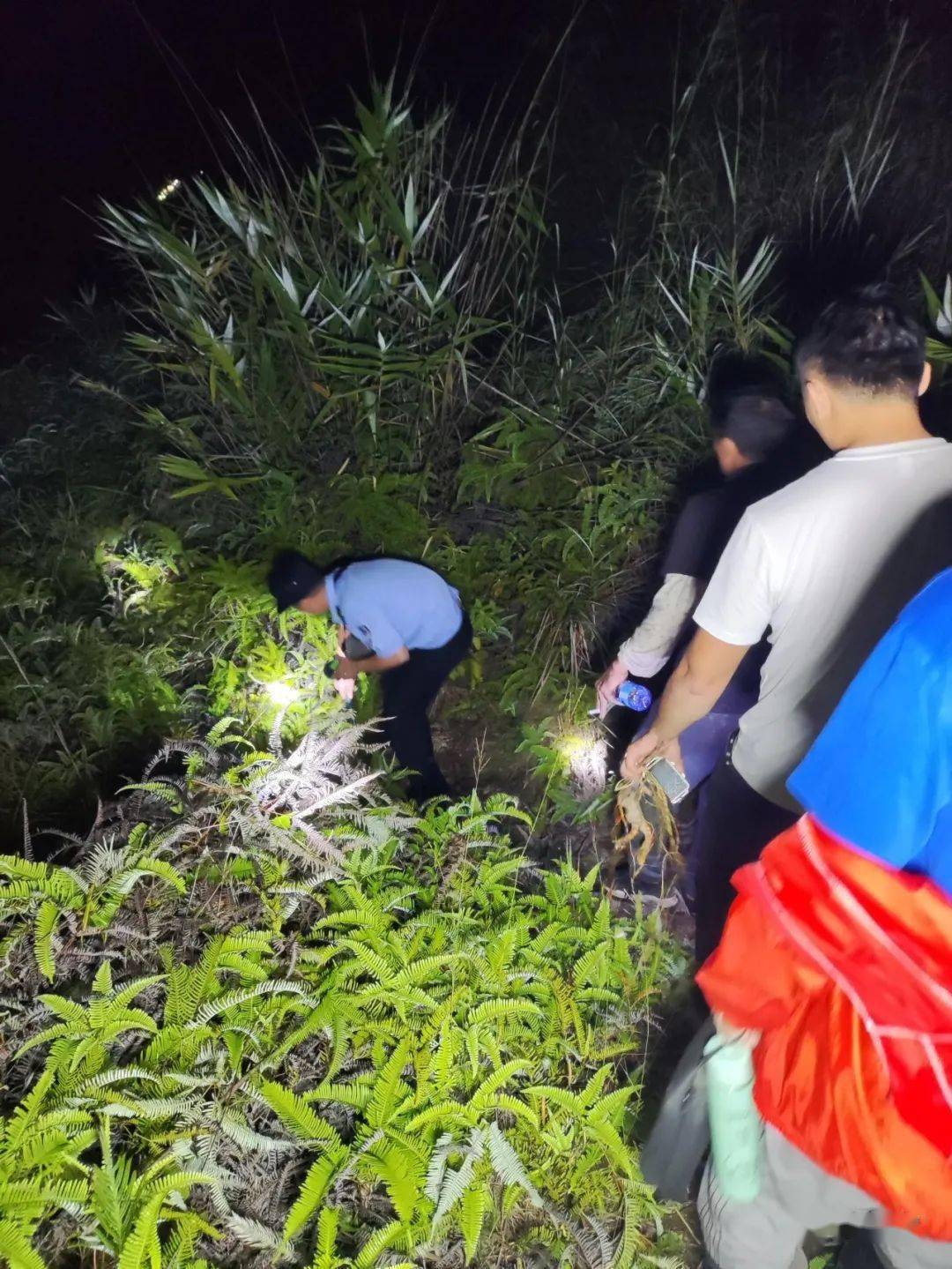 罗定一对父子迷失深山,他们果断摸黑进山救人