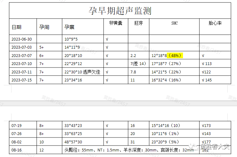 怀孕检查单照片图片