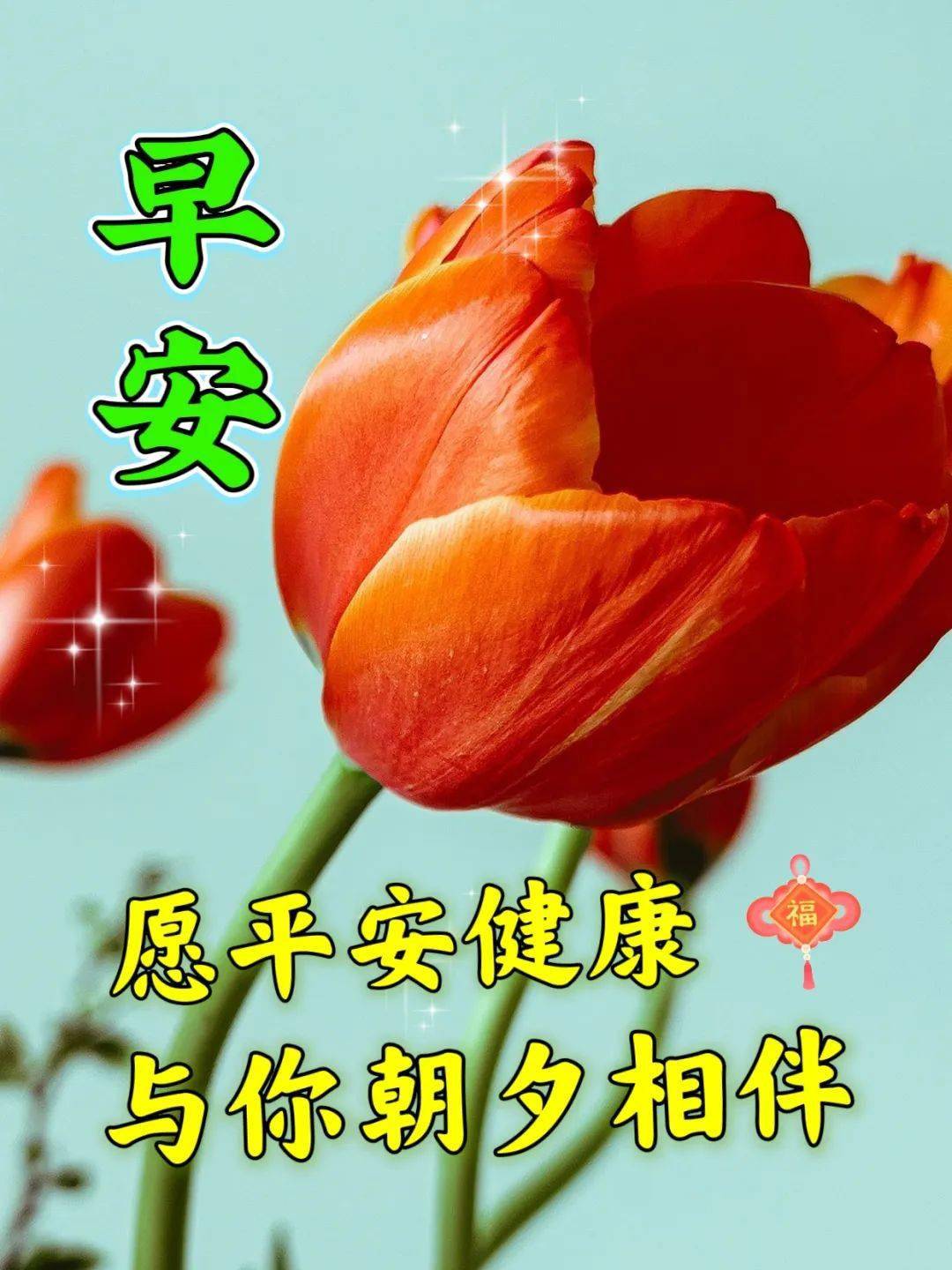 新版早安祝福漂亮图片,好运连连,一帆风顺_问候_开心_友谊