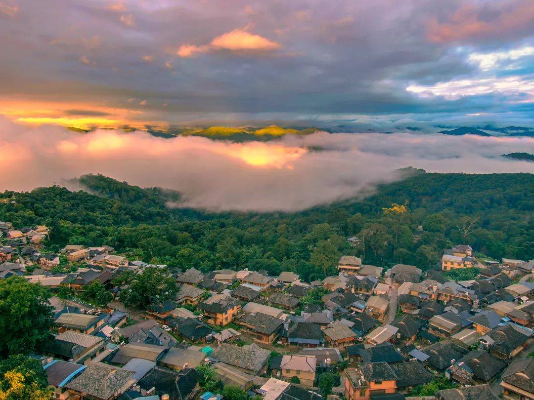 为寻一口好茶,我可以去n次云南→_景迈山_茶林_普洱