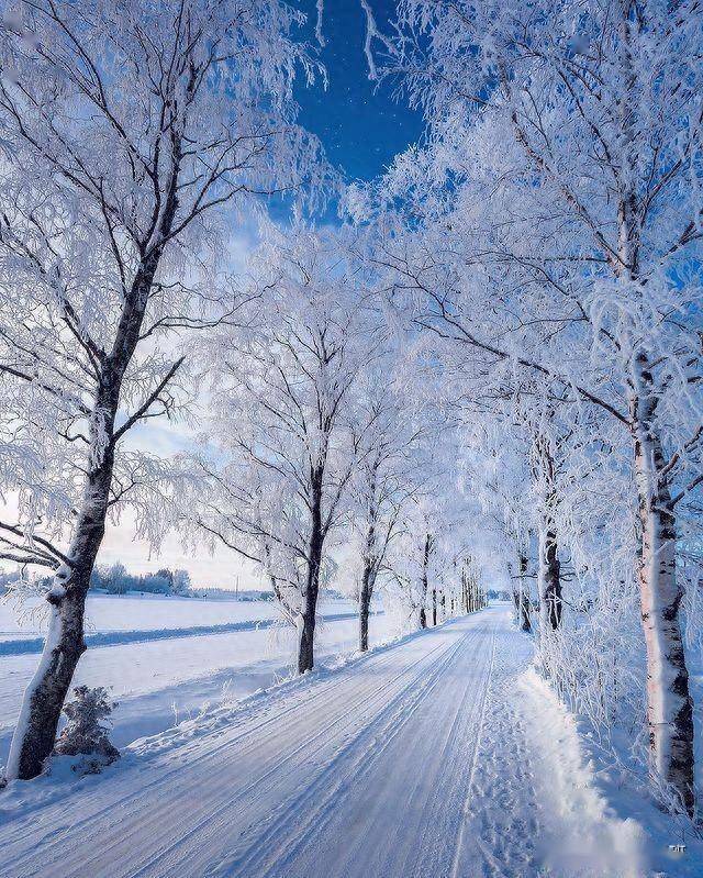 你是否曾经在寒冷的冬天里,拿起相机想要记录下美丽的雪景,却发现照片