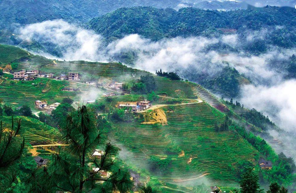 【11月12】云霄发团 安溪国心绿谷 清水岩纯玩1日游_云端_海拔_风景