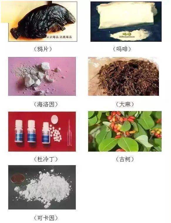 毒性最小的毒品图片