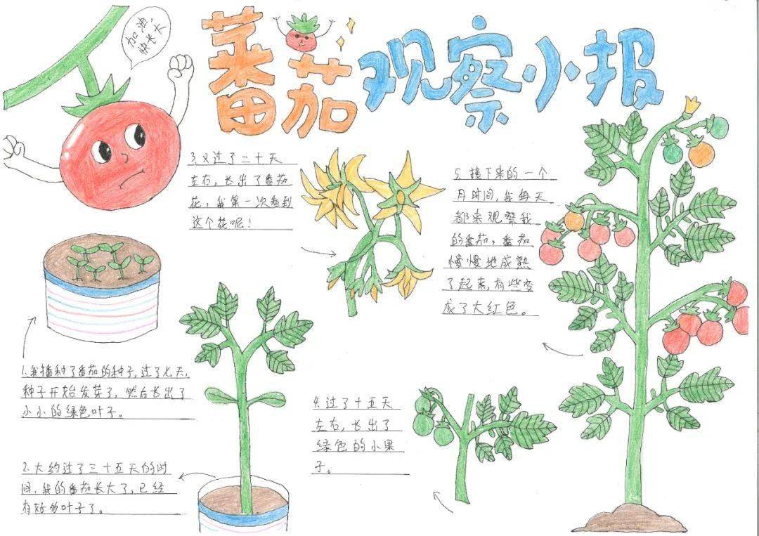 山西省青少年"一起向自然"2023年生物多样性自然笔记征集活动获奖作品