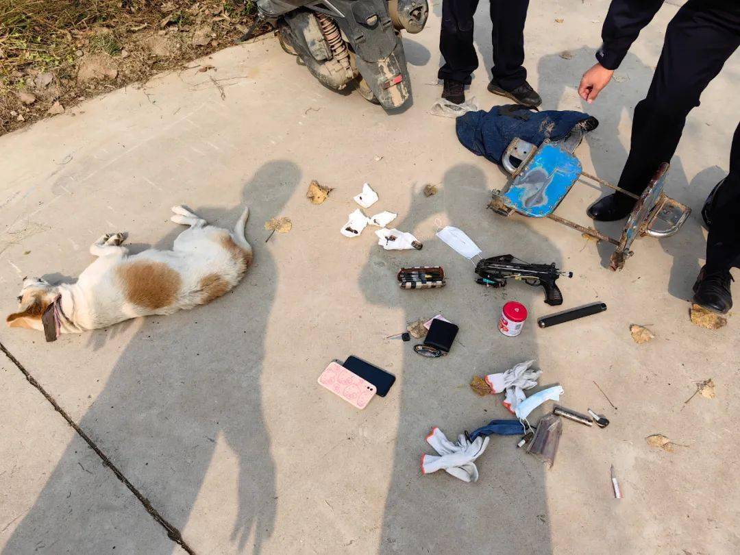 徐某已被刑事拘留_男子_钢弩_岚山