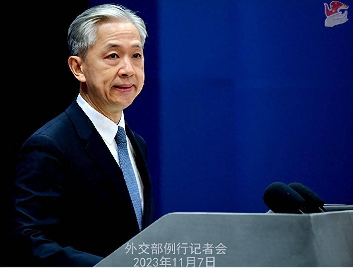 中国外交部：G7外长会声明大谈巴以局势，却不提停火止战、恢复和谈 - 2023年11月9日, 俄罗斯卫星通讯社