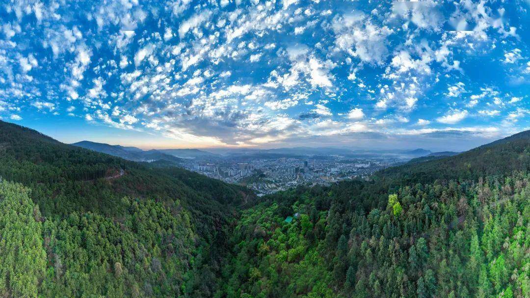 木质观景台曲折穿梭在密匝的茂林深处一条条林间栈道景区内箐谷幽深