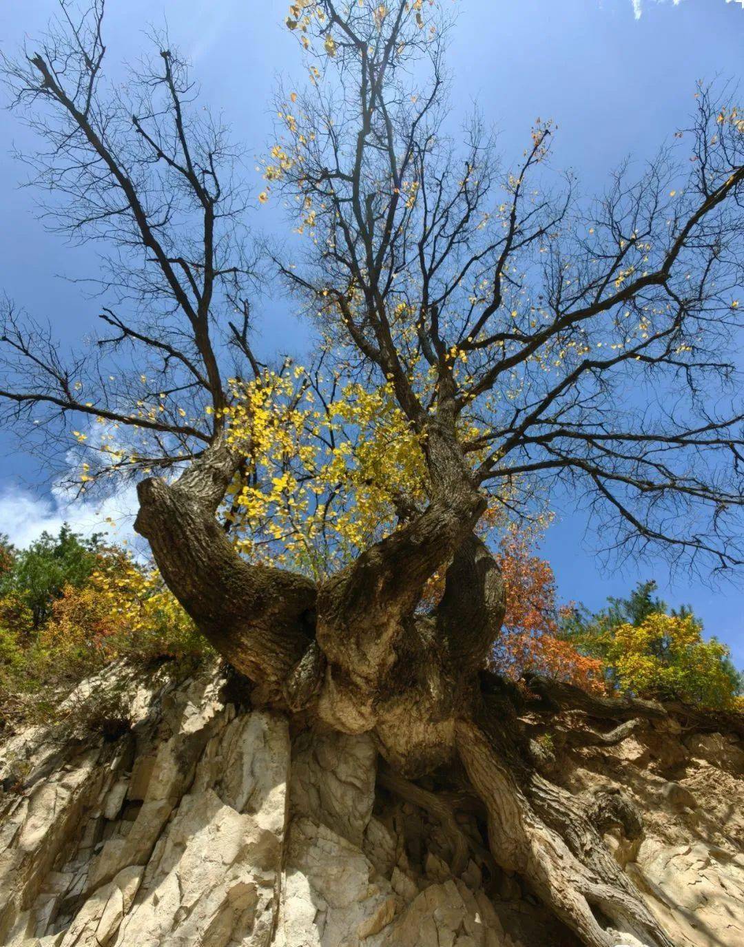 文化园地 | "镜头里的秋日·2023年礼县秋景"摄影作