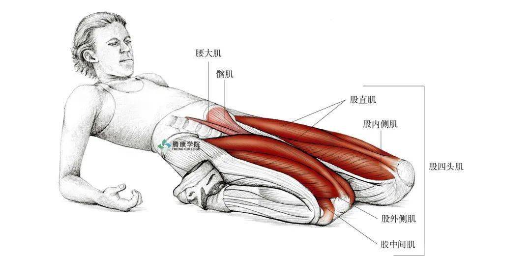 腘绳肌的拉伸臀大肌的拉伸内收肌的拉伸日常生活注意事项适当使用拐杖