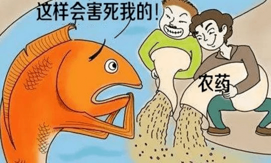 八,禁止毒鱼处罚:视情节,可处五十万以下罚款;构成