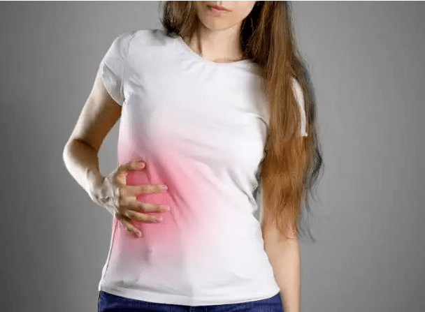 奥迪括约肌调节十二指肠壶腹的胆汁释放.