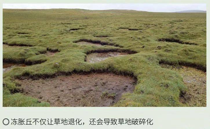 高考地理中的冻融作用_中国_西伯利亚地区_生活