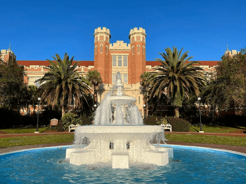 今天去santa monica海滩闲逛,明天去好莱坞影城参观,后天去迪士尼嗨玩