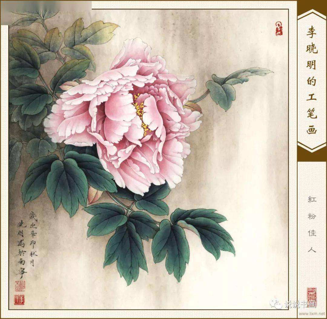 李晓明工笔花鸟55幅