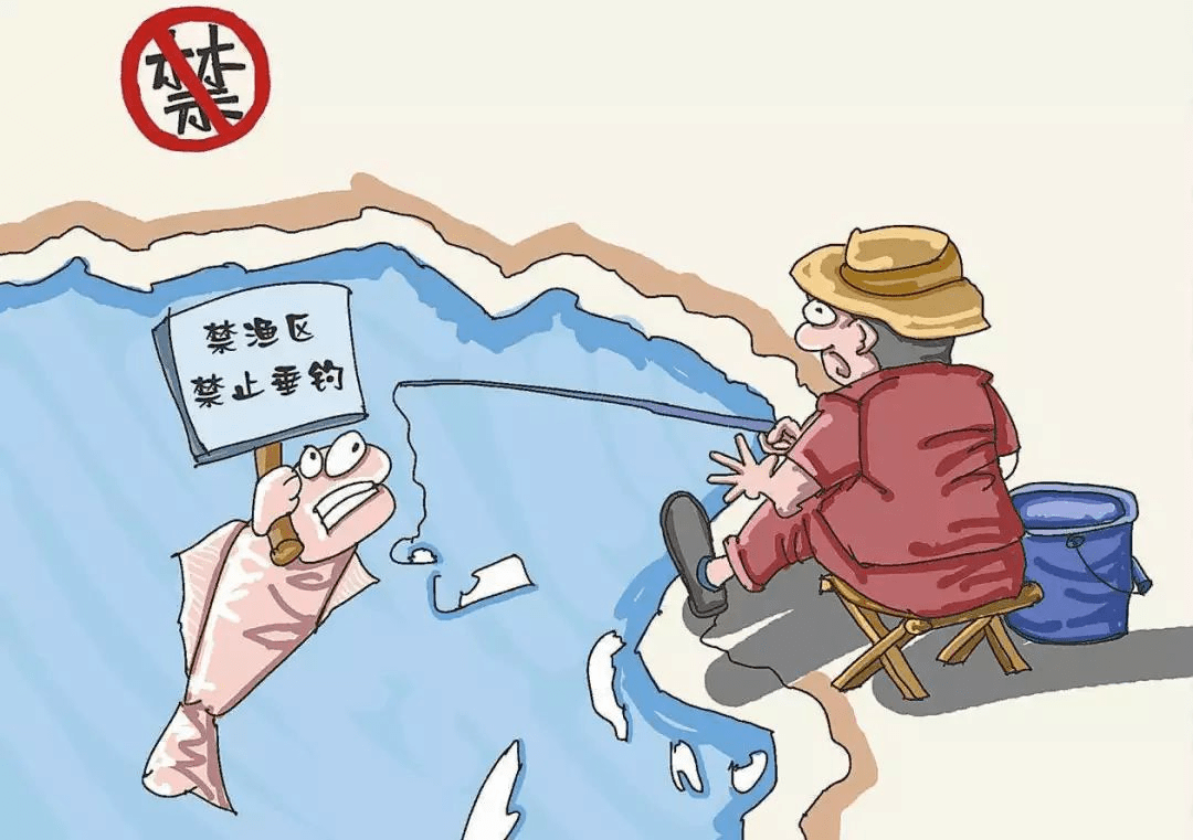 十年禁渔 | 市中区长江天然水域"十二禁"_危害_处罚_保护