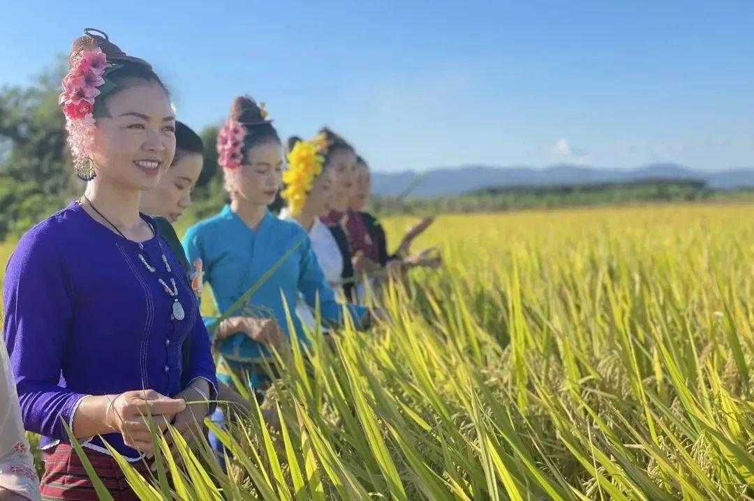 勐腊县勐捧镇 | 谱好引航三重曲 奏响富裕新乐章