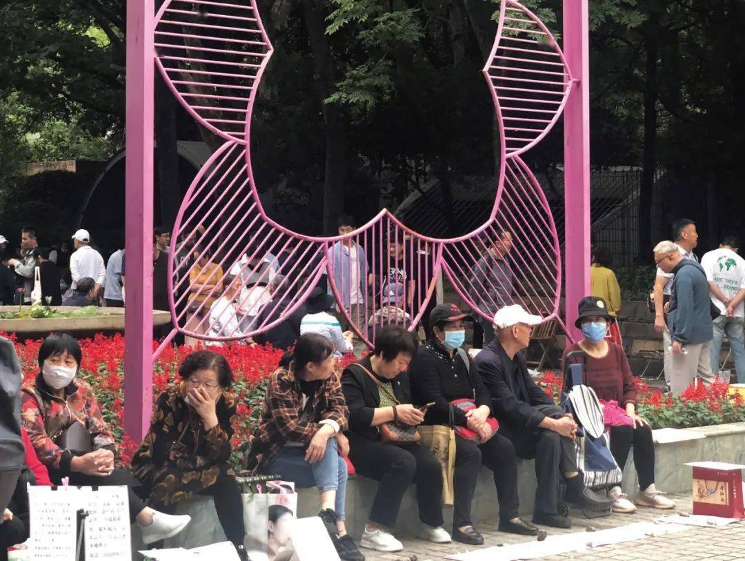 植物人文行走 | 一次与「植物世民」相亲的机会_人民公园_活动_上海大