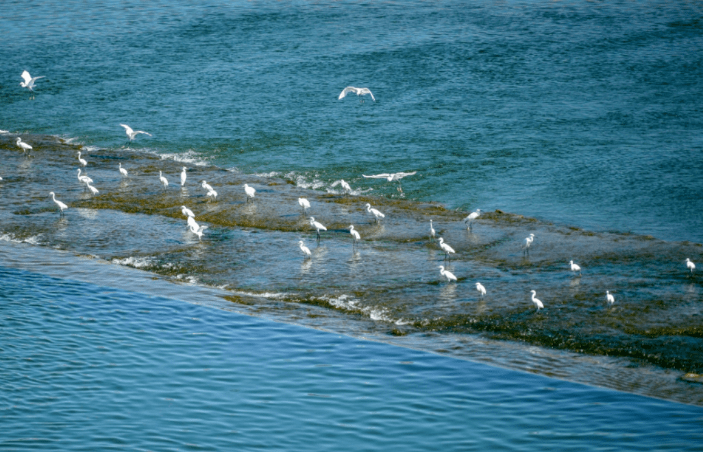 湖南衡东:67改善水生态,刷新河湖颜值_工作_河道_整治