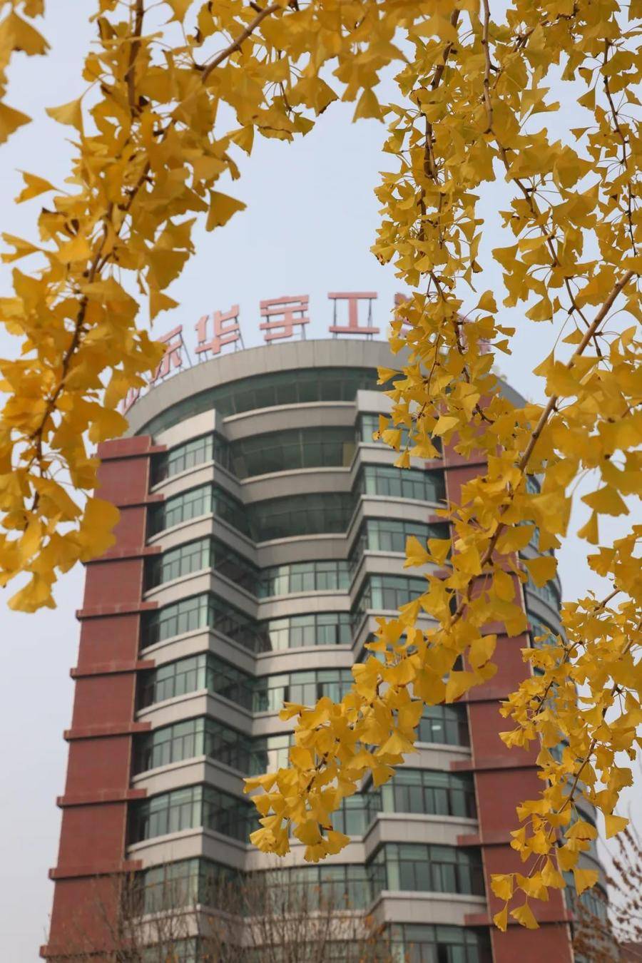 山东华宇工学院11月高清秋景图,张张是大片