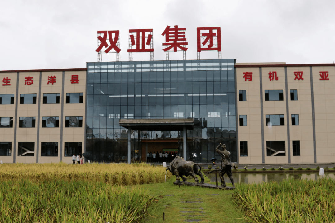 洋县黑米有路子 →_发展_产业_农产品