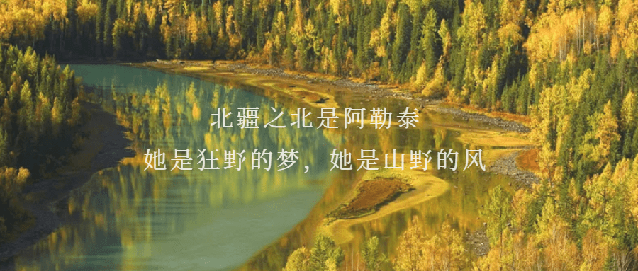 《我的阿勒泰》:跨足山川,感知人间_李娟_生活_妈妈