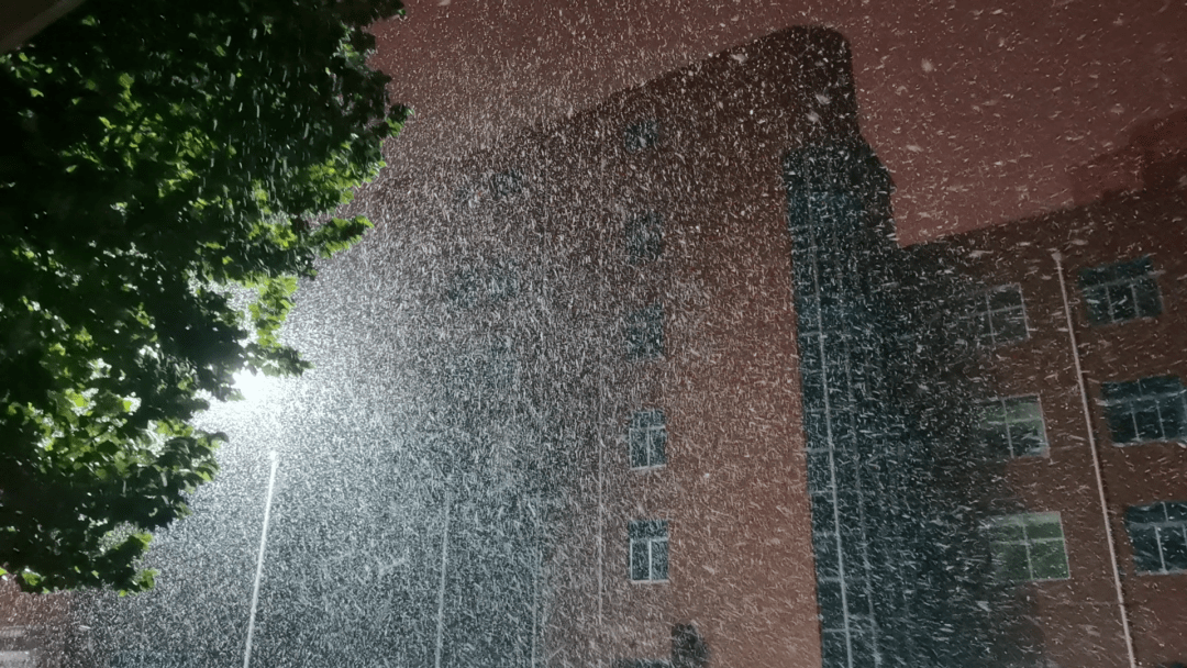 雨夹雪转中雪!霜冻 冰冻 大风齐来!烟台还得继续冷一周!