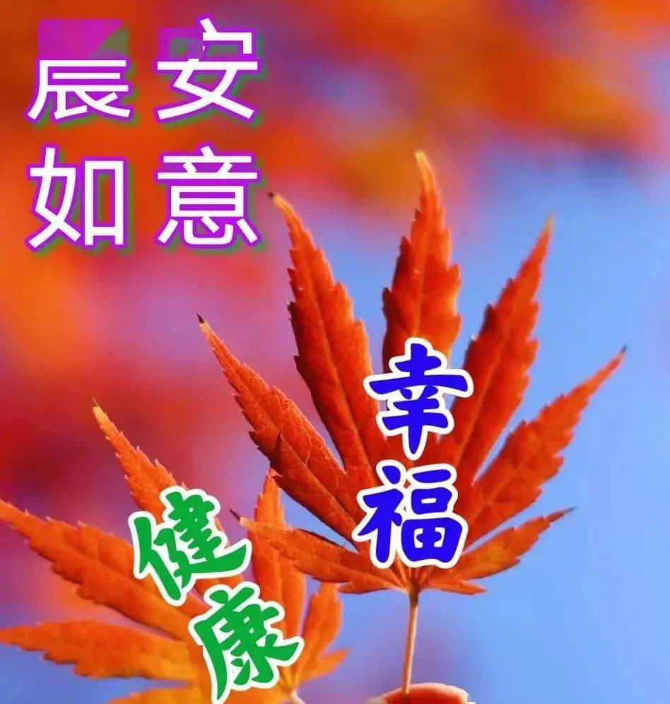 早安缘分珍惜带字图片图片