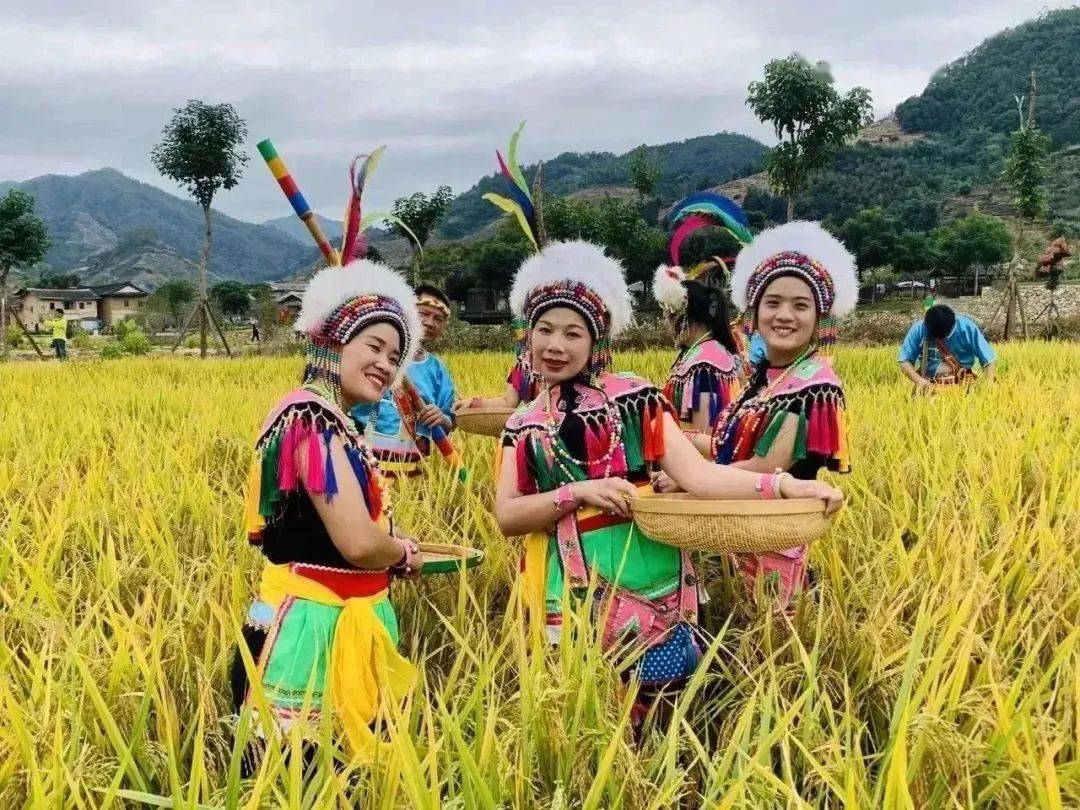 四季全时秋赏稻高山族丰年祭