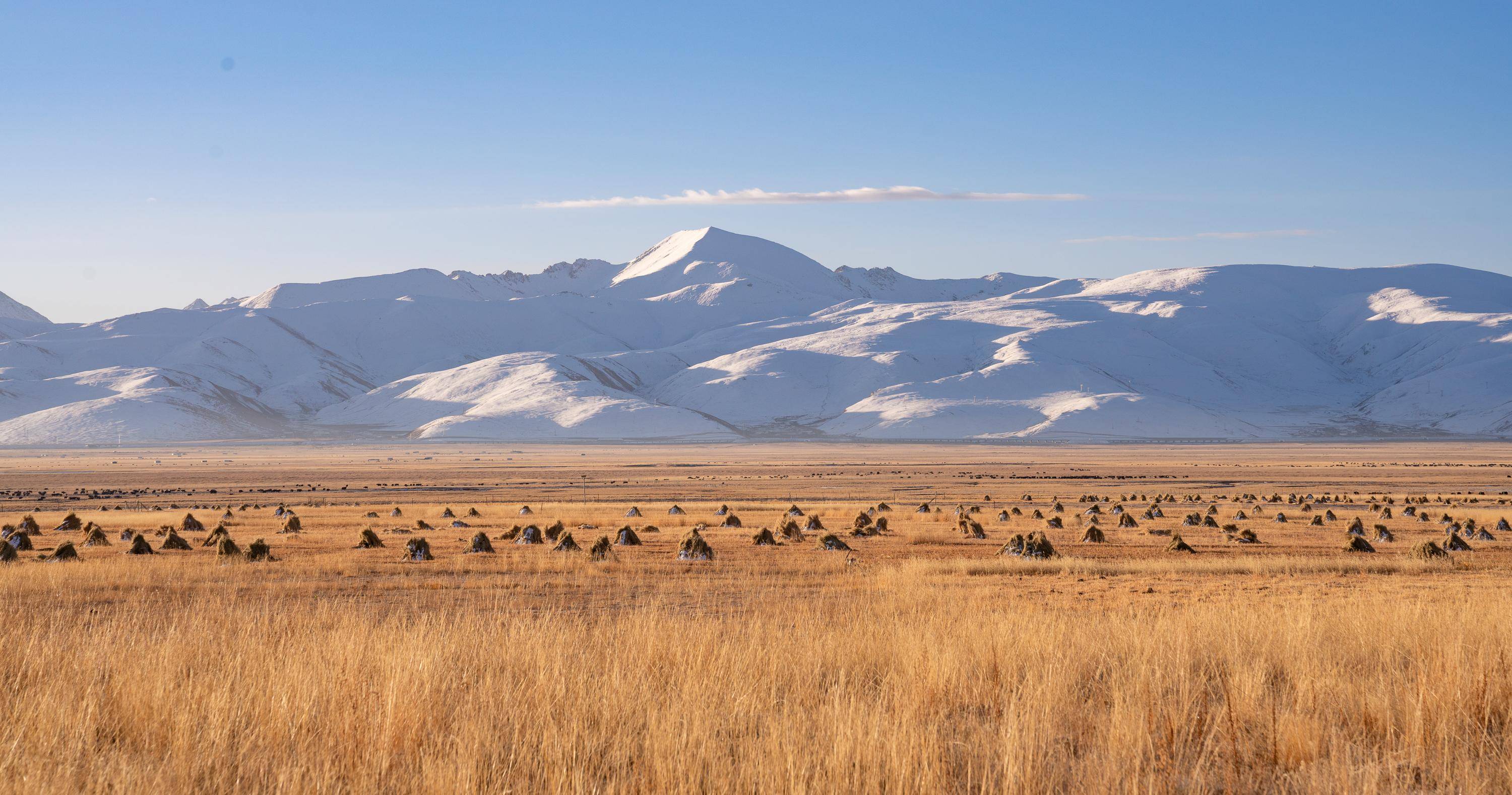 (社会)藏北纪行:高原冬季牧歌_云丹_西藏自治区_当雄县
