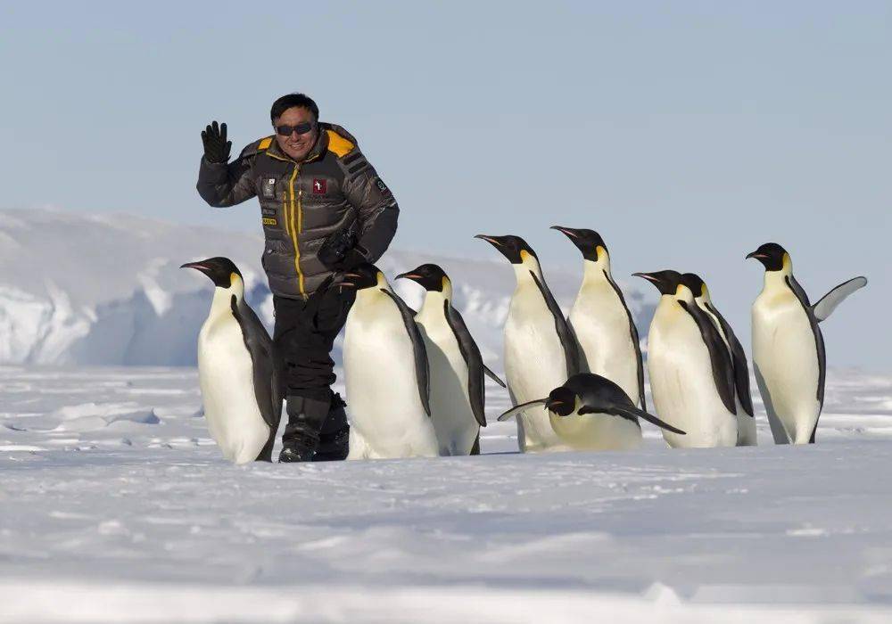 谢建国:用影像的力量促进中国自然保护_动植物_北京_镜头