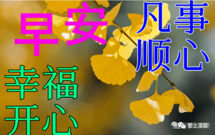 今日最新漂亮早上好祝福图片带字温馨,冬日早安问候短语句子!