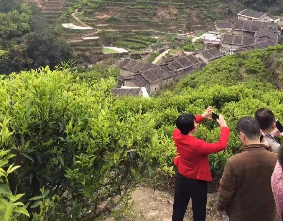 吃点好的,28道美食等您逐一品尝!_传统_饶洋镇_历史