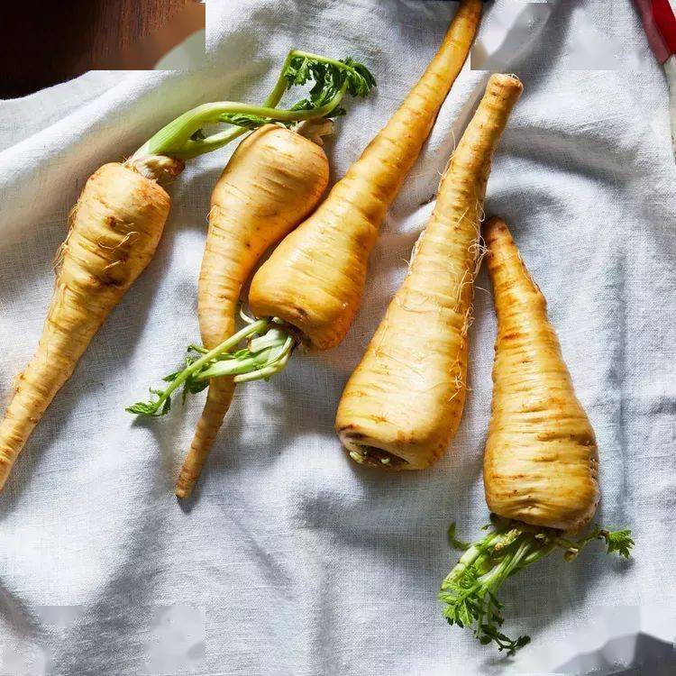 厨房灵感|形似萝卜,香甜百搭的欧防风:5种烹饪方式详解_食用_菜肴