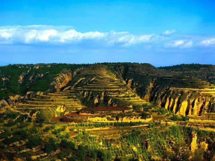 永和奏响黄河流域绿色发展交响曲_永和县_治理_生态