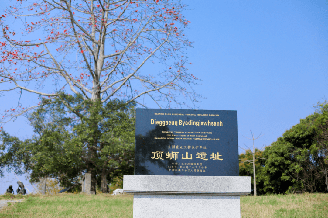 南宁这两位新晋"顶流"背后还有这些故事→_文化_贝丘_遗址