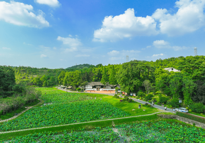益阳清溪村图片