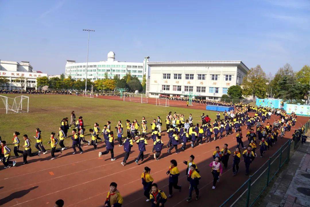 义乌实验小学校徽图片